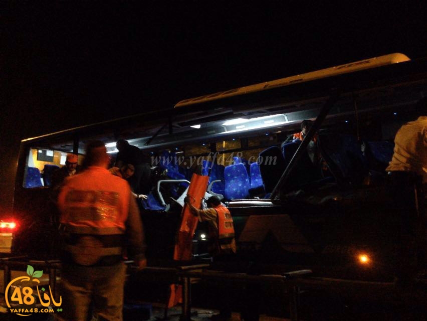 Accjs latroona (15).jpg